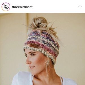 Three Bird Nest Rainbow Messy Bun Beanie